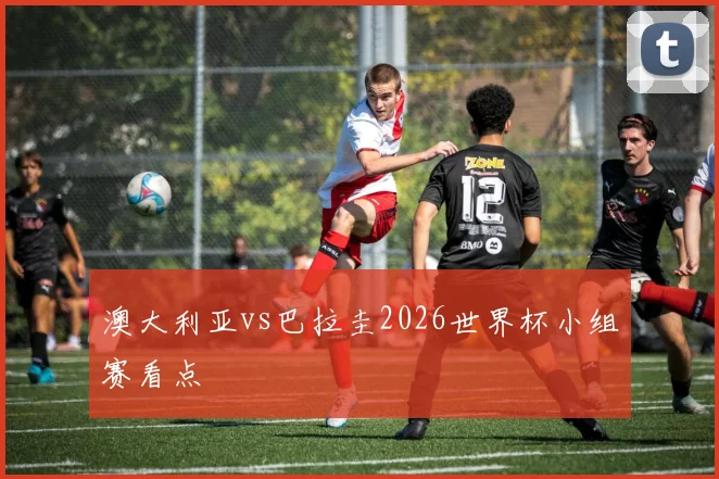澳大利亚vs巴拉圭2026世界杯小组赛看点