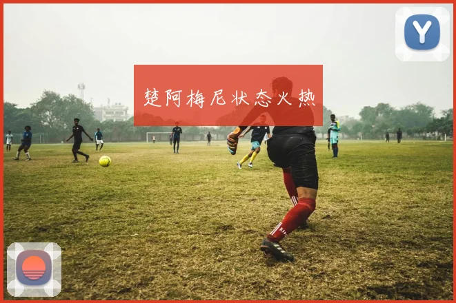 楚阿梅尼状态火热
