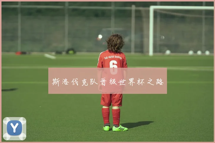斯洛伐克队晋级世界杯之路