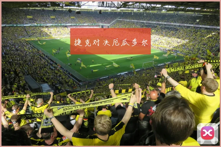 捷克对决厄瓜多尔