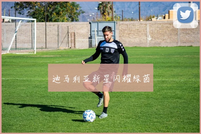 迪马利亚新星闪耀绿茵