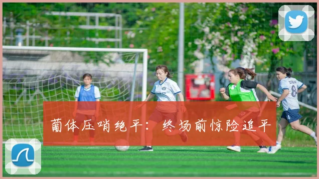 葡体压哨绝平：终场前惊险追平