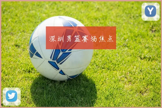 深圳男篮赛场焦点