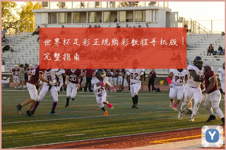 世界杯足彩正规购彩教程手机版｜完整指南