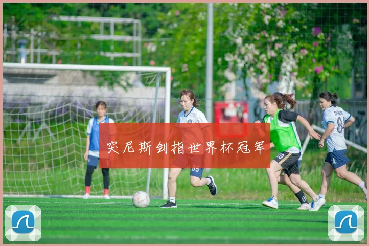 突尼斯剑指世界杯冠军