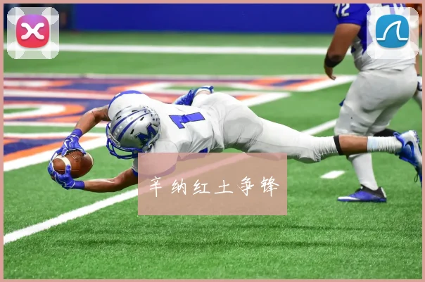 辛纳红土争锋