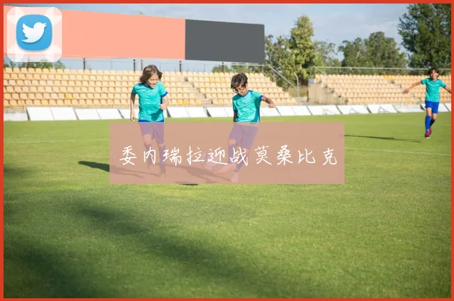 委内瑞拉迎战莫桑比克