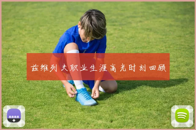 兹维列夫职业生涯高光时刻回顾