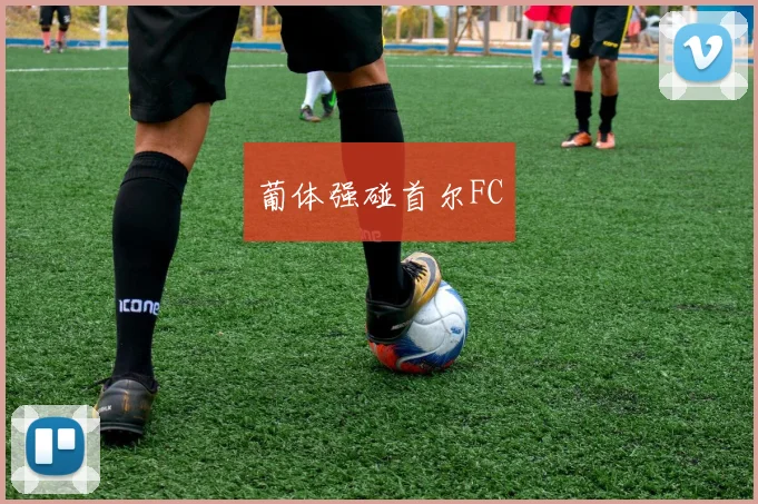葡体强碰首尔FC