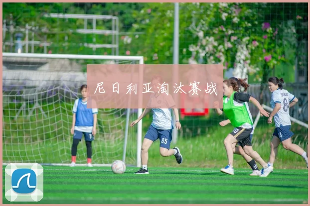 尼日利亚淘汰赛战