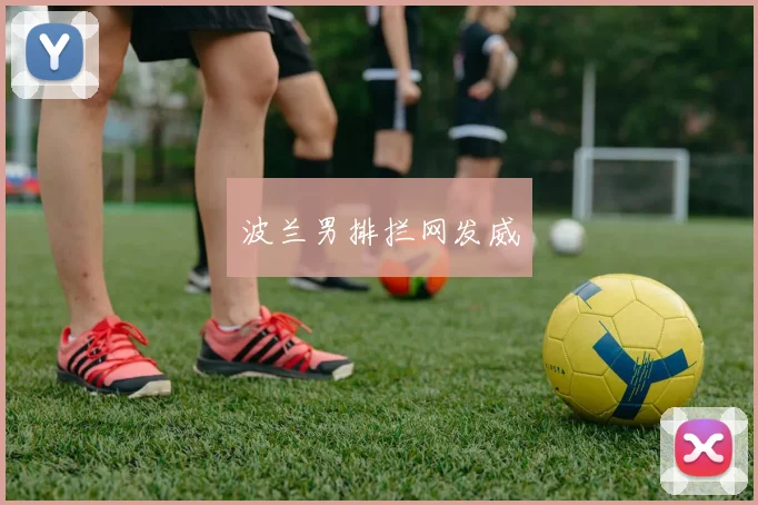 波兰男排拦网发威