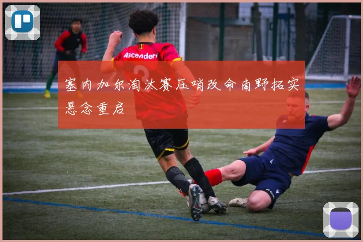 塞内加尔淘汰赛压哨改命南野拓实悬念重启