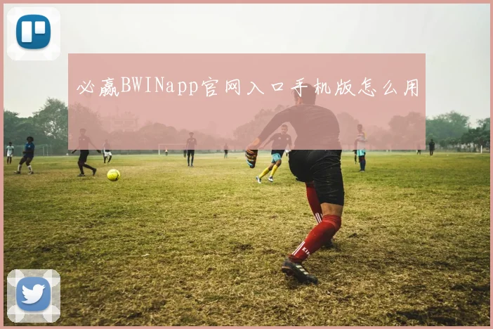 必赢BWINapp官网入口手机版怎么用